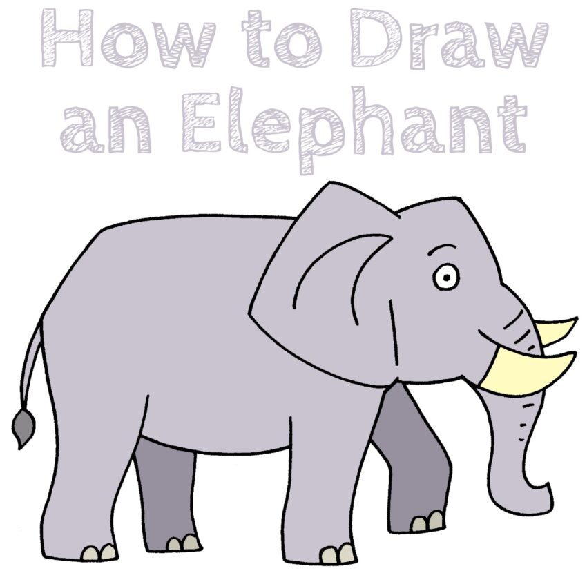 How to Draw an Elephant - How to Draw Easy