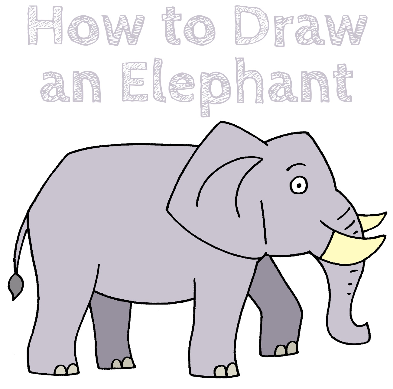 Step by Step How to Draw an Elephant