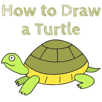 Turtle How to Draw Simple