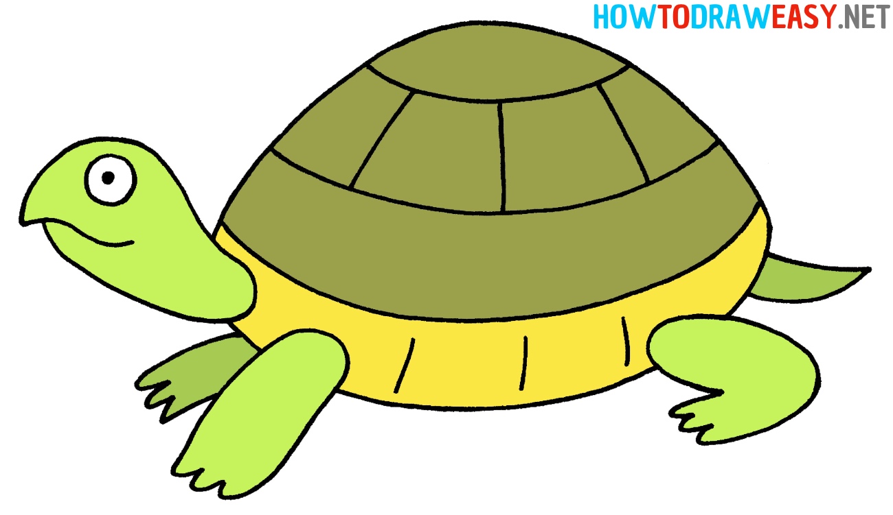Turtle How to Draw