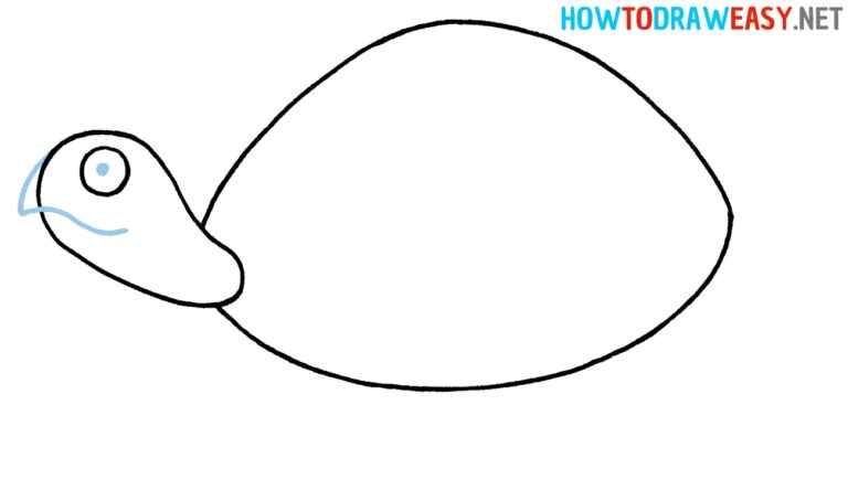 How to Draw a Turtle - How to Draw Easy