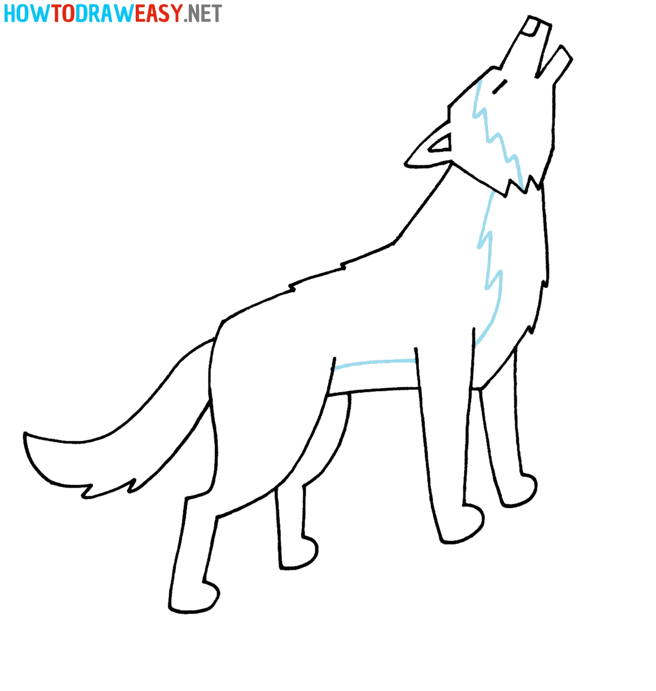 Wolf Drawing Guide