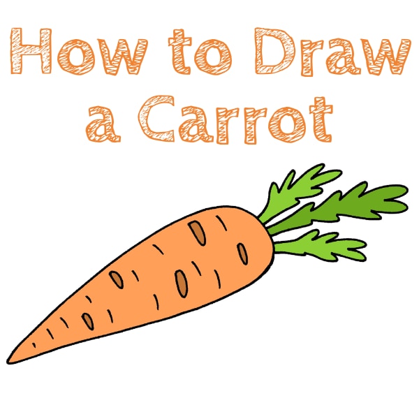 How to Draw a Carrot