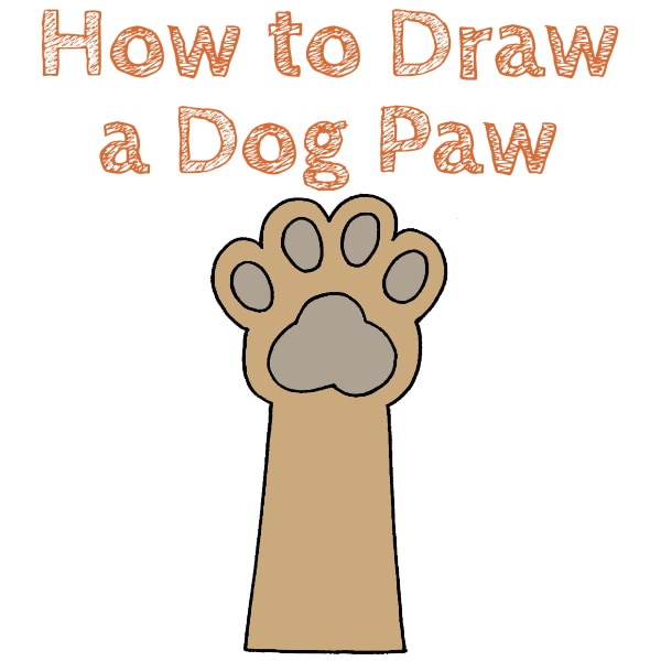 How to Draw a Dog Paw