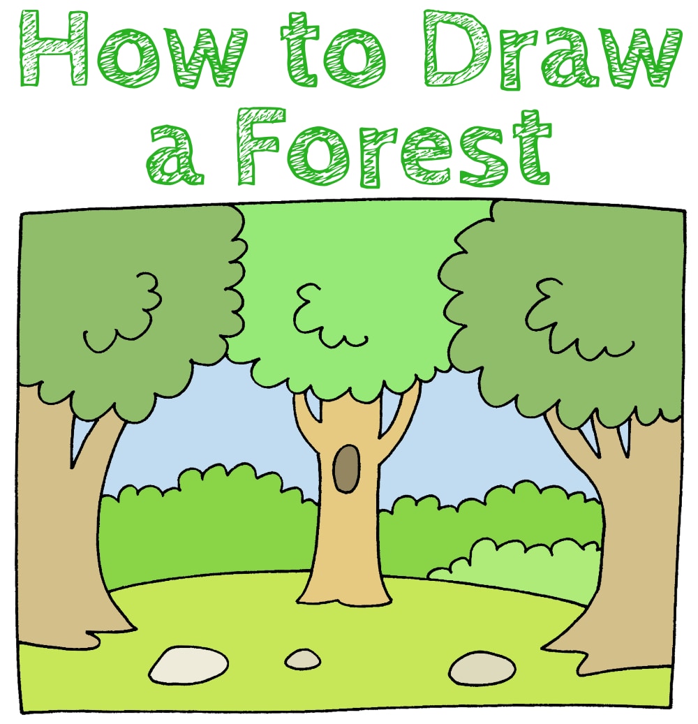 How to Draw a Forest - Draw for Kids