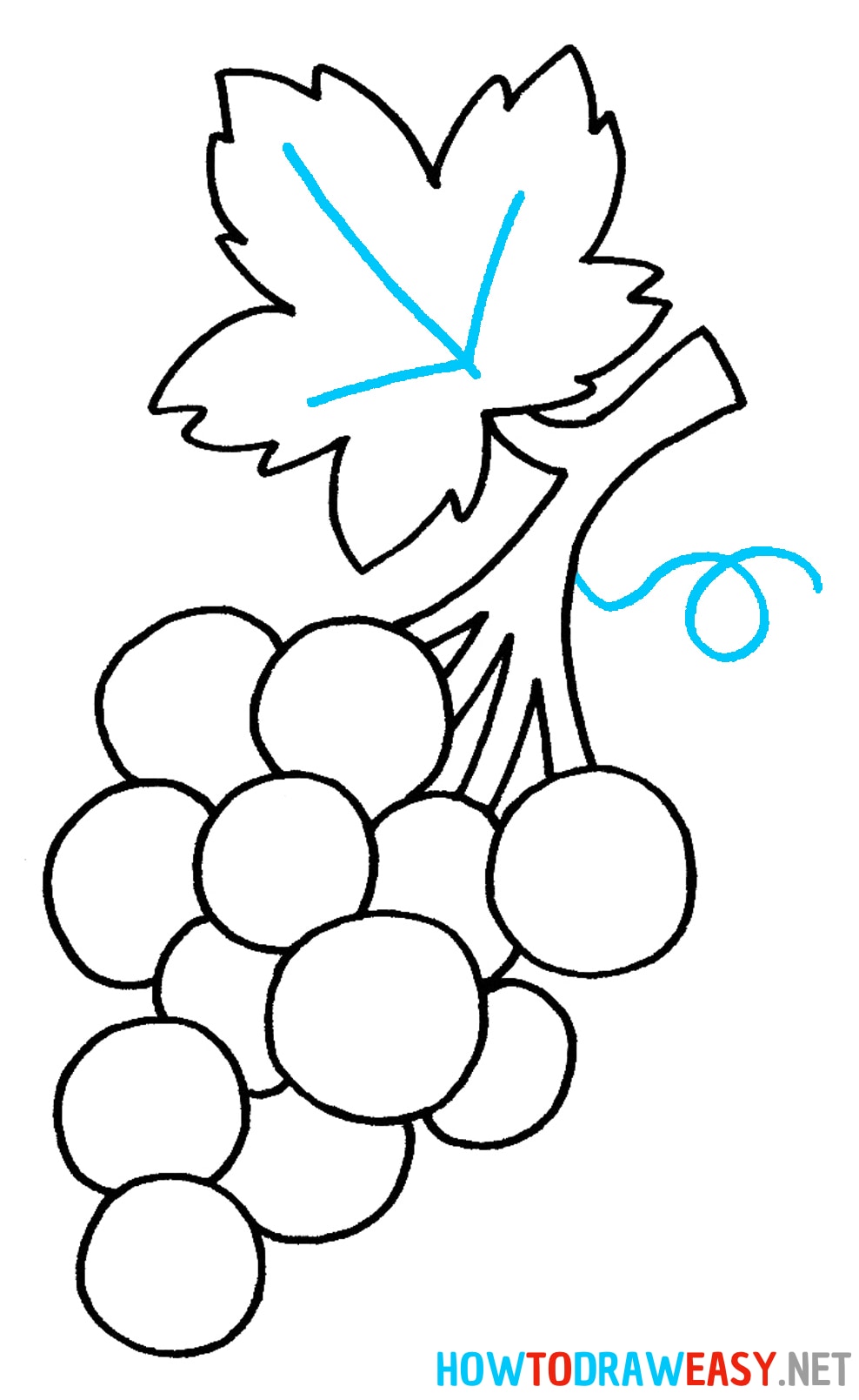 Grapes Drawing Tutorial