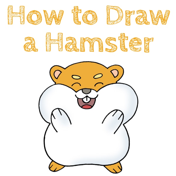 How to Draw a Hamster
