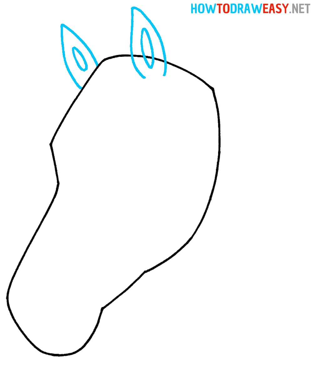 Horse Ears Drawing