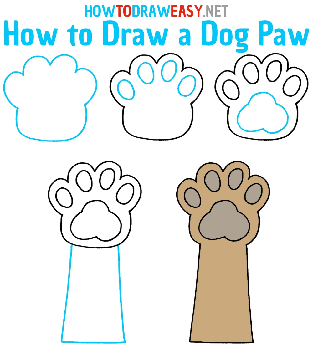 How to Draw a Dog Paw Draw for Kids