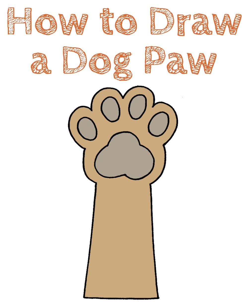 How to Draw a Dog Paw Draw for Kids
