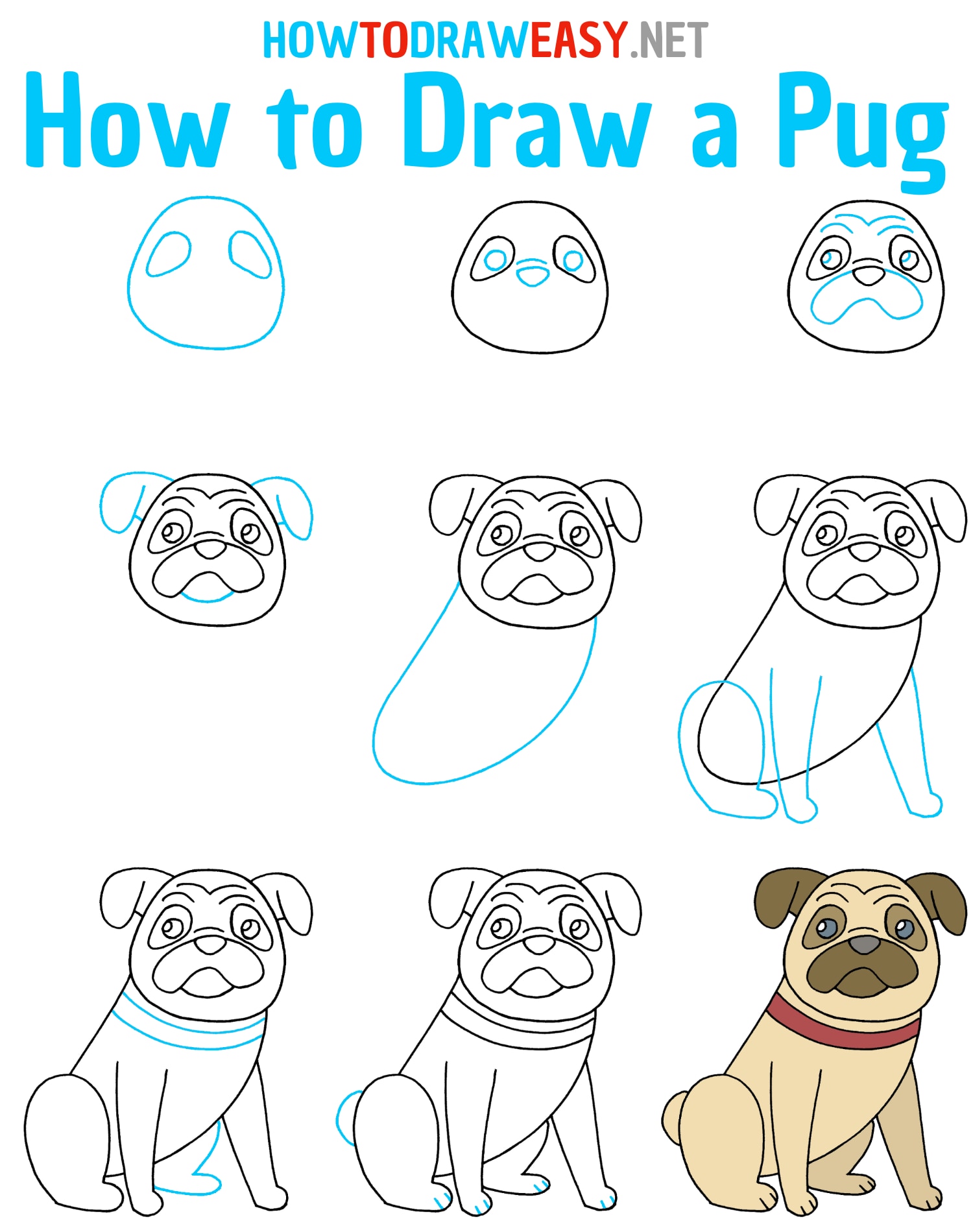 How to Draw a Pug Draw for Kids