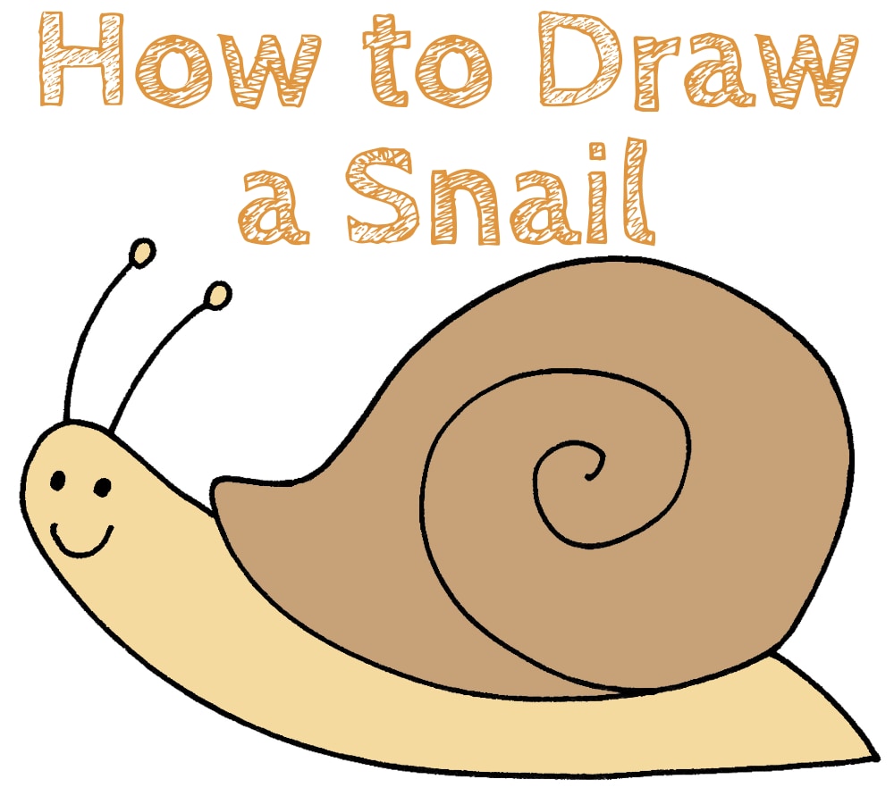 How to Sketch a Snail
