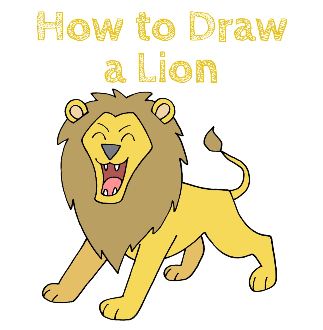 Lion Drawing for Beginners