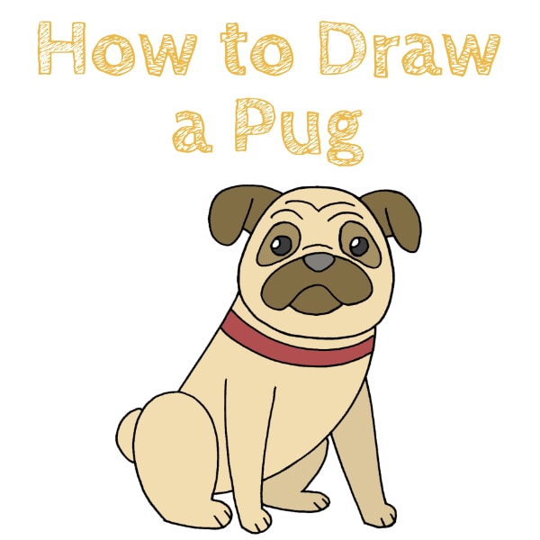 How to Draw a Pug