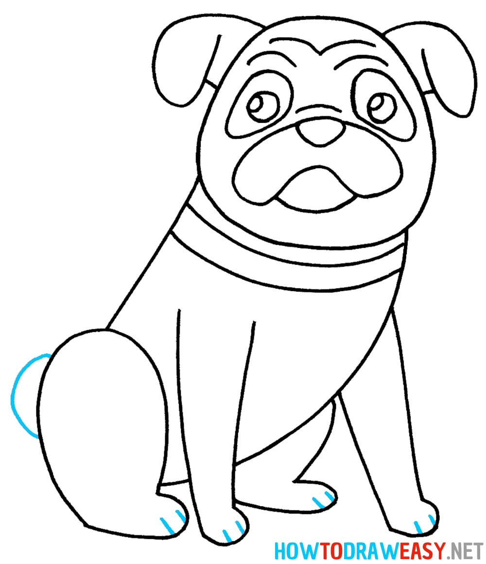 Pug Drawing Tutorial