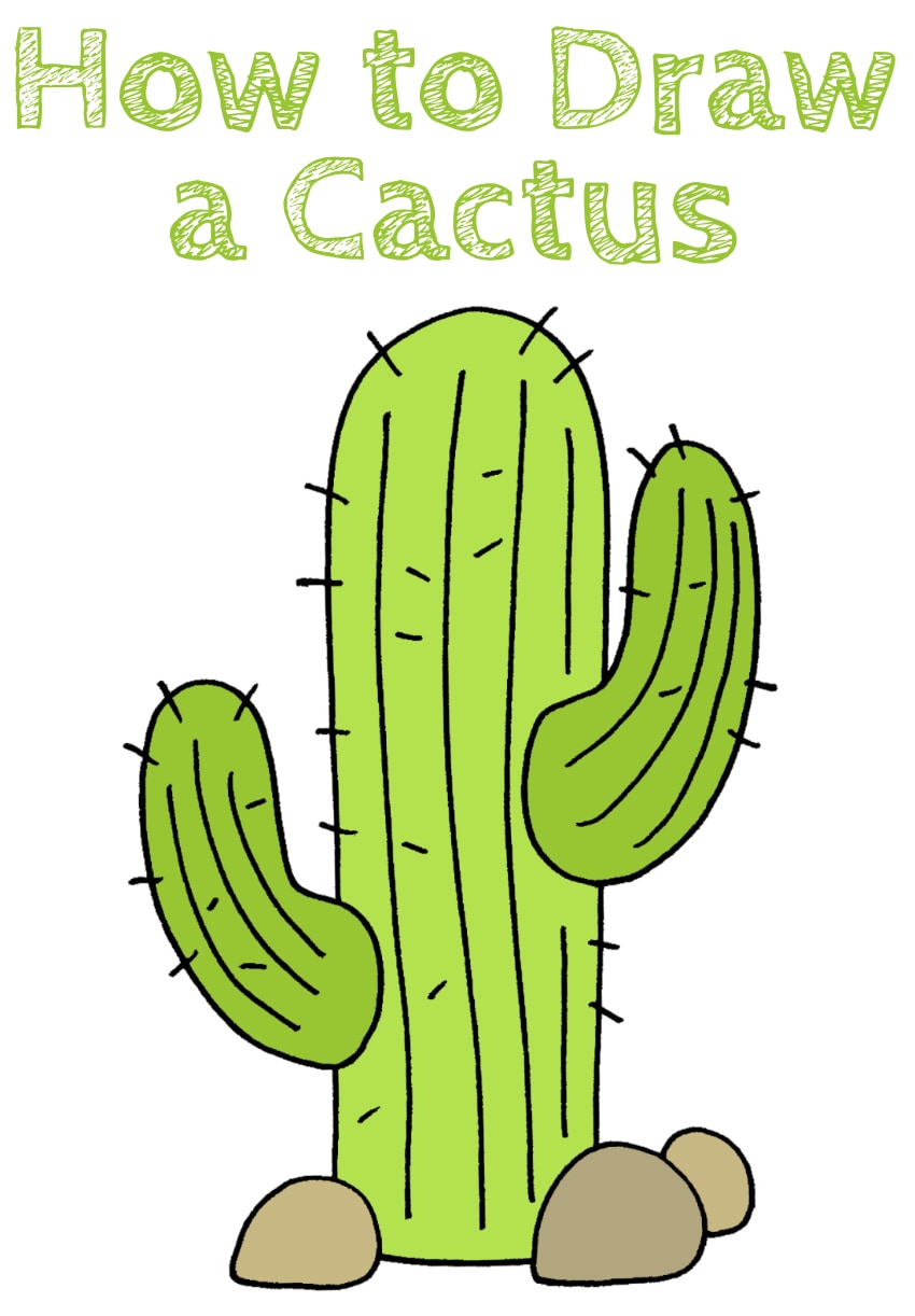 Cactus Drawing Step by Step