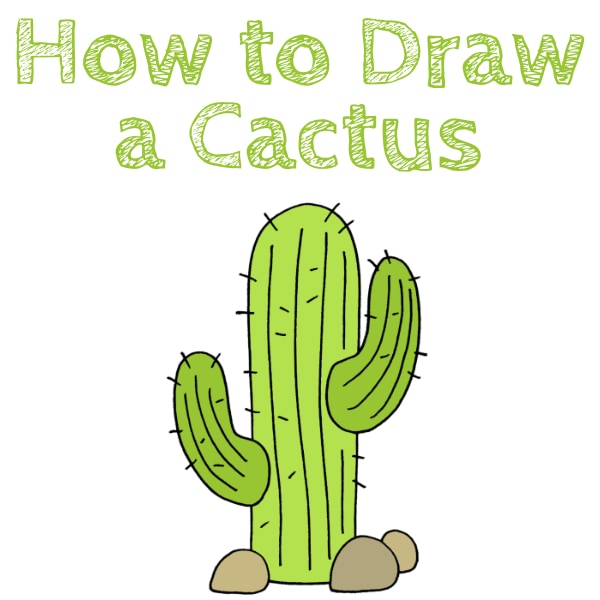 How to Draw a Cactus Step-by-Step
