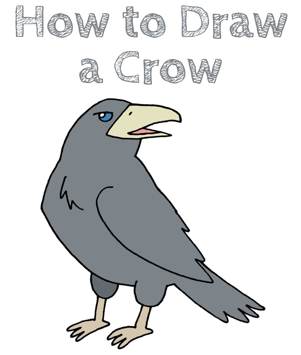 Crow Drawing Tutorial