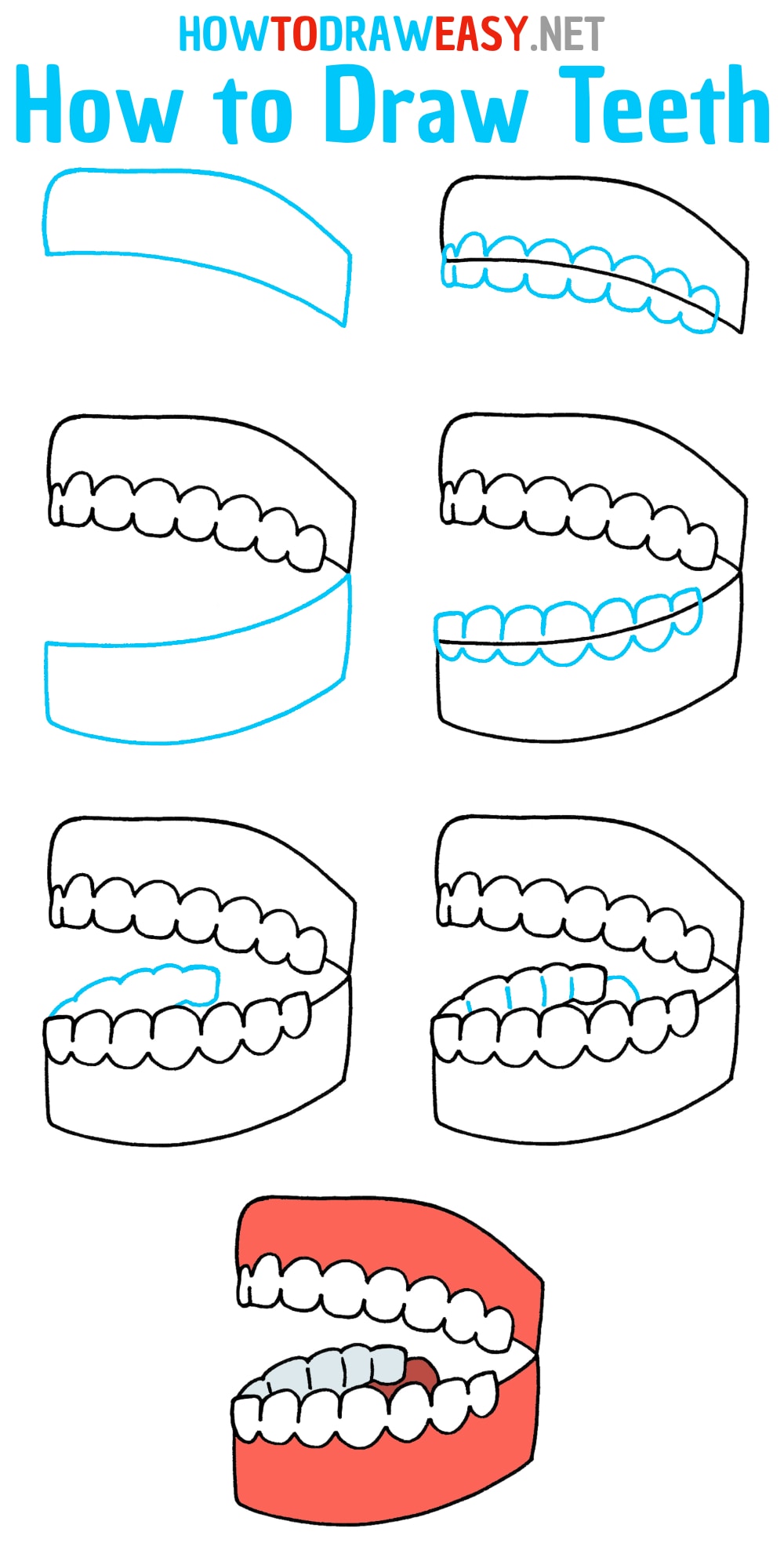 How to Draw Teeth Step by Step