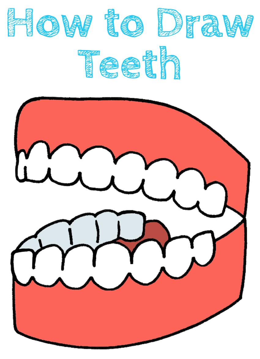 How to Draw Teeth Draw for Kids