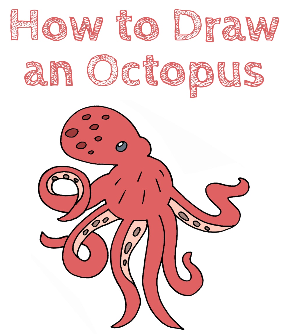 Octopus Drawing Simple