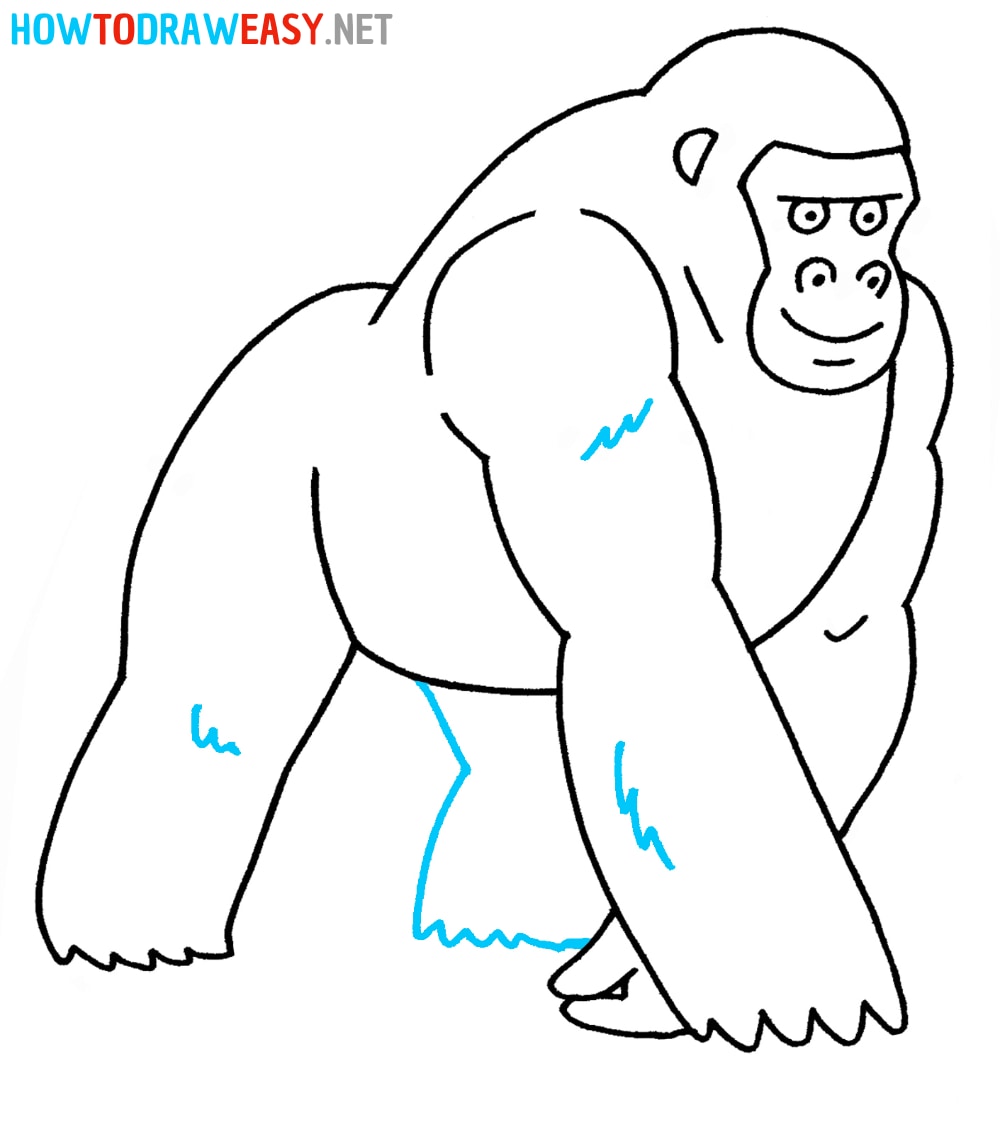 Step by Step Gorilla Drawing