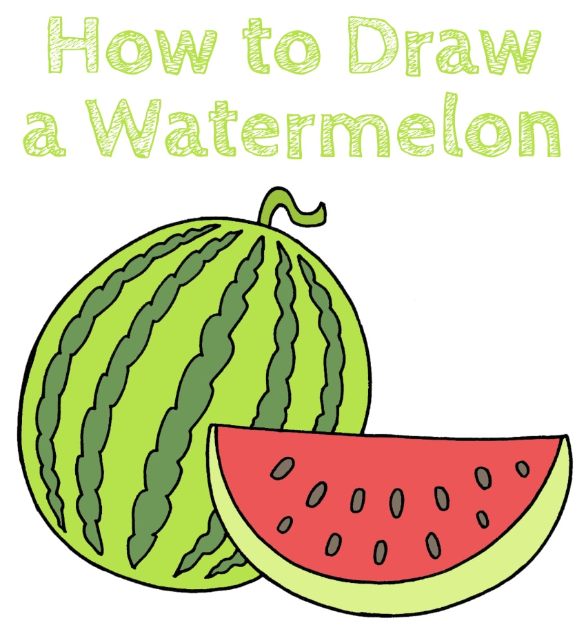 Watermelon Drawing for Beginners