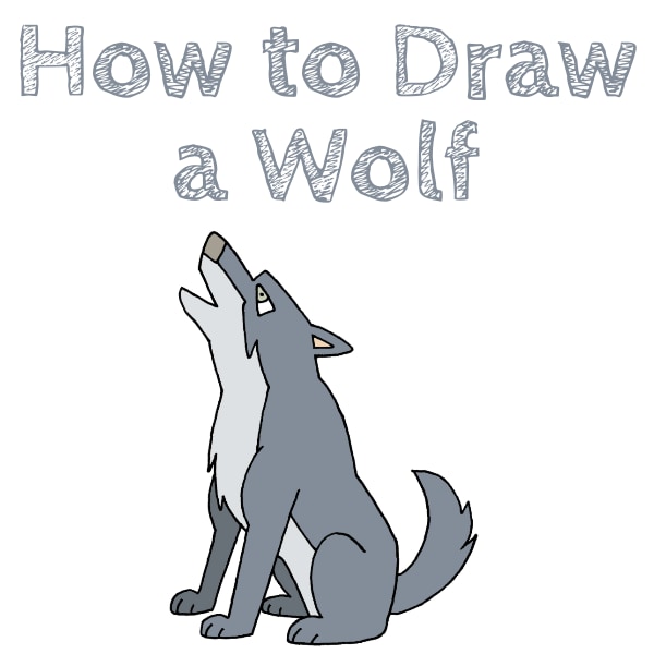 How to Draw a Wolf Easy