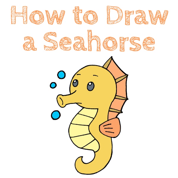 How to Draw a Seahorse