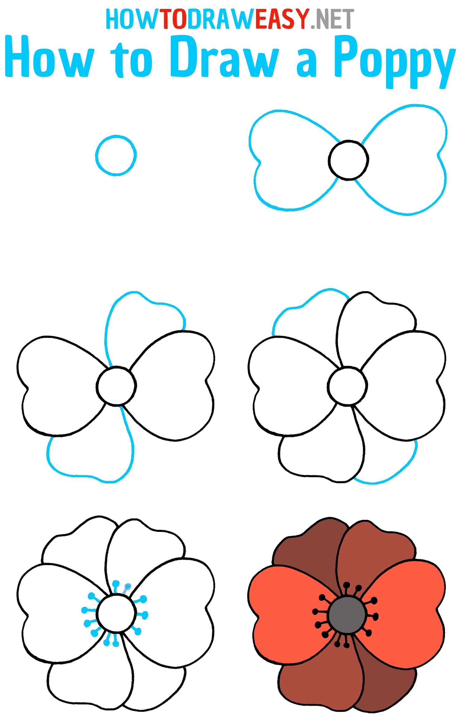 How to Draw a Poppy Step by Step