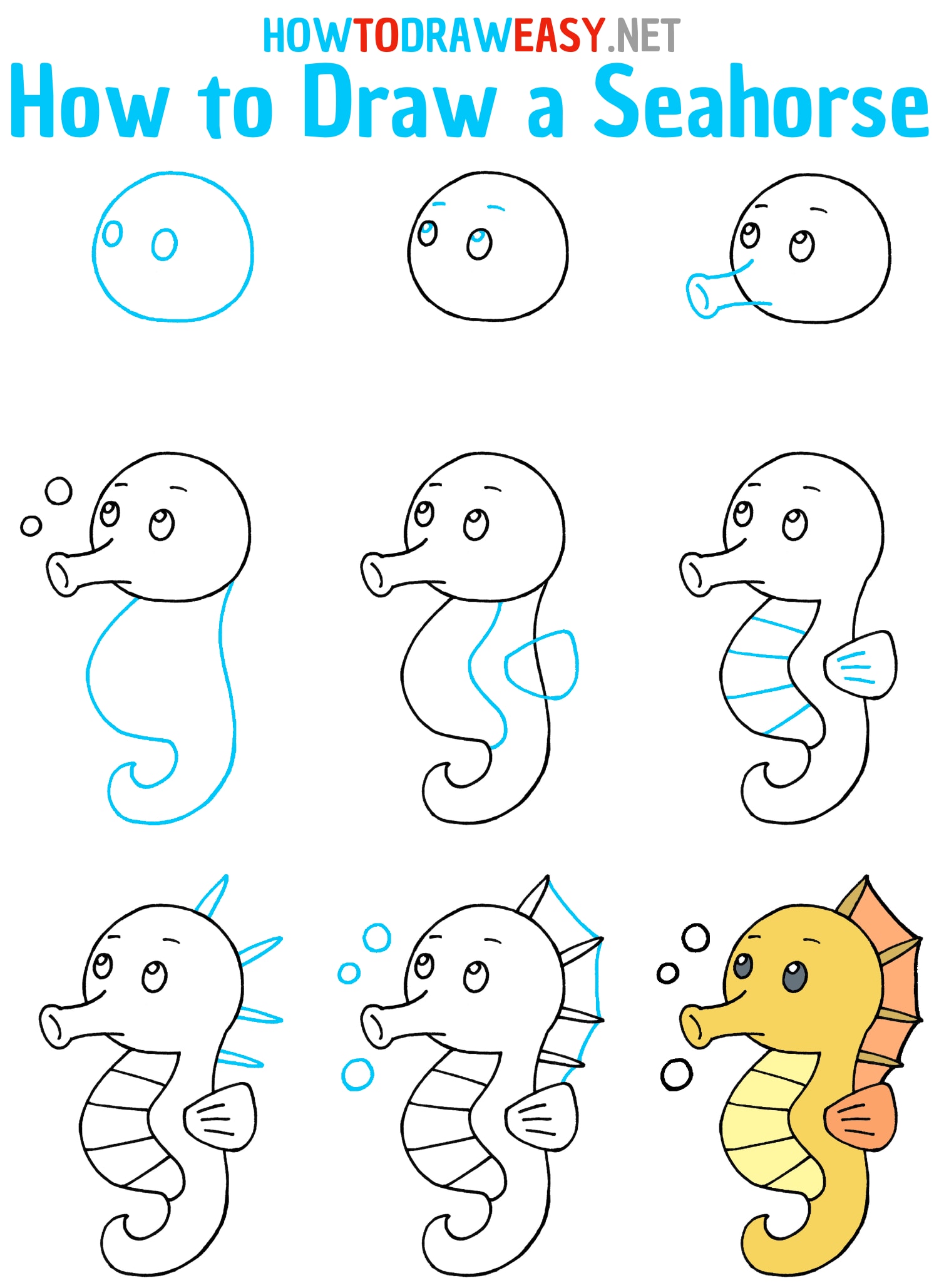 How to Draw a Seahorse Step by Step