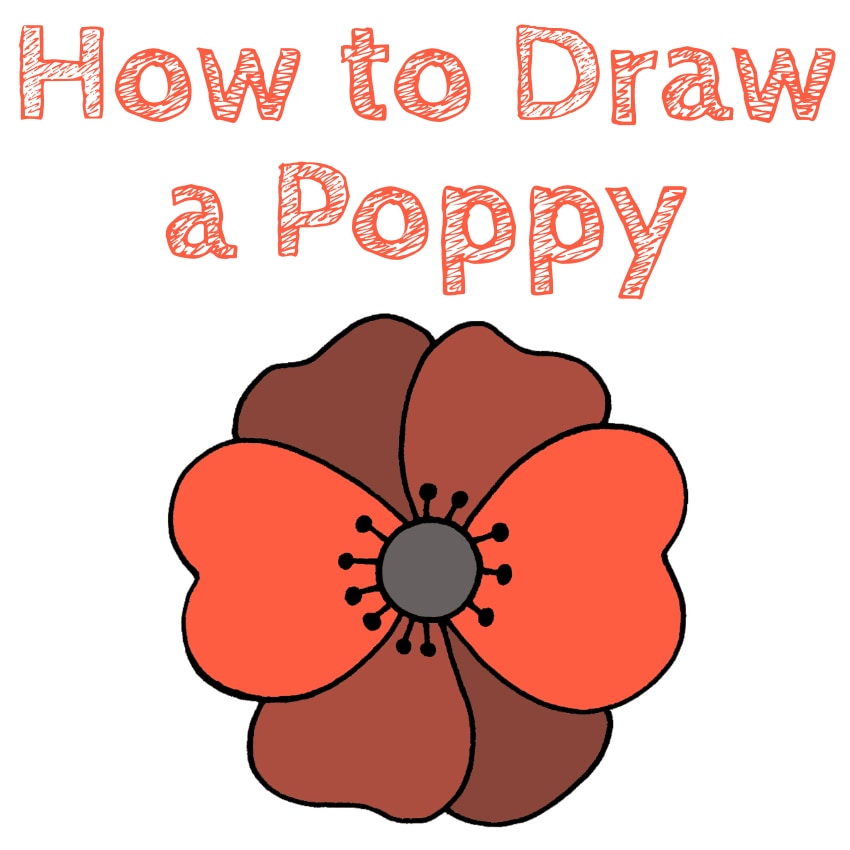How to Draw an Easy Poppy