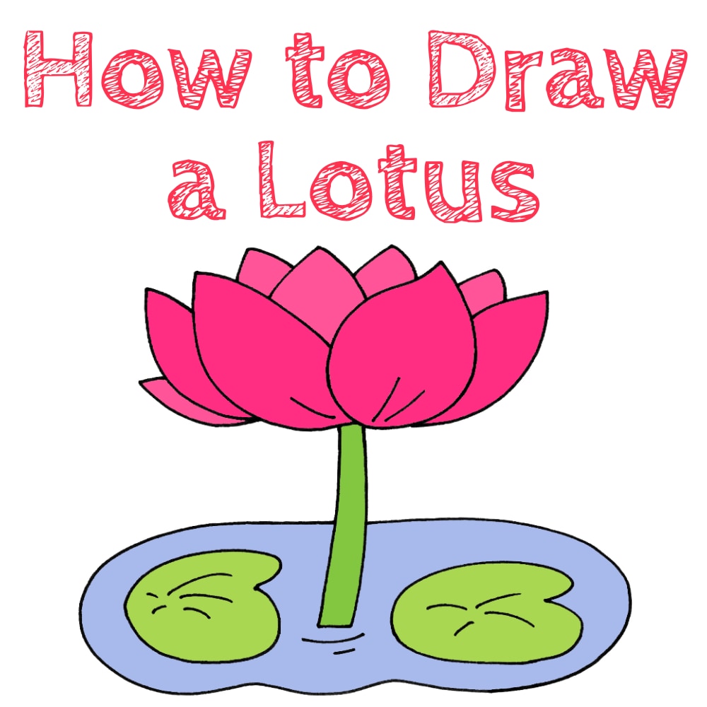 Lotus Flower Drawing Tutorial