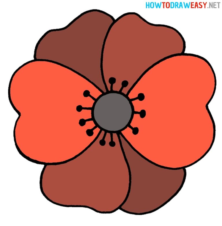 How to Draw a Poppy - How to Draw Easy