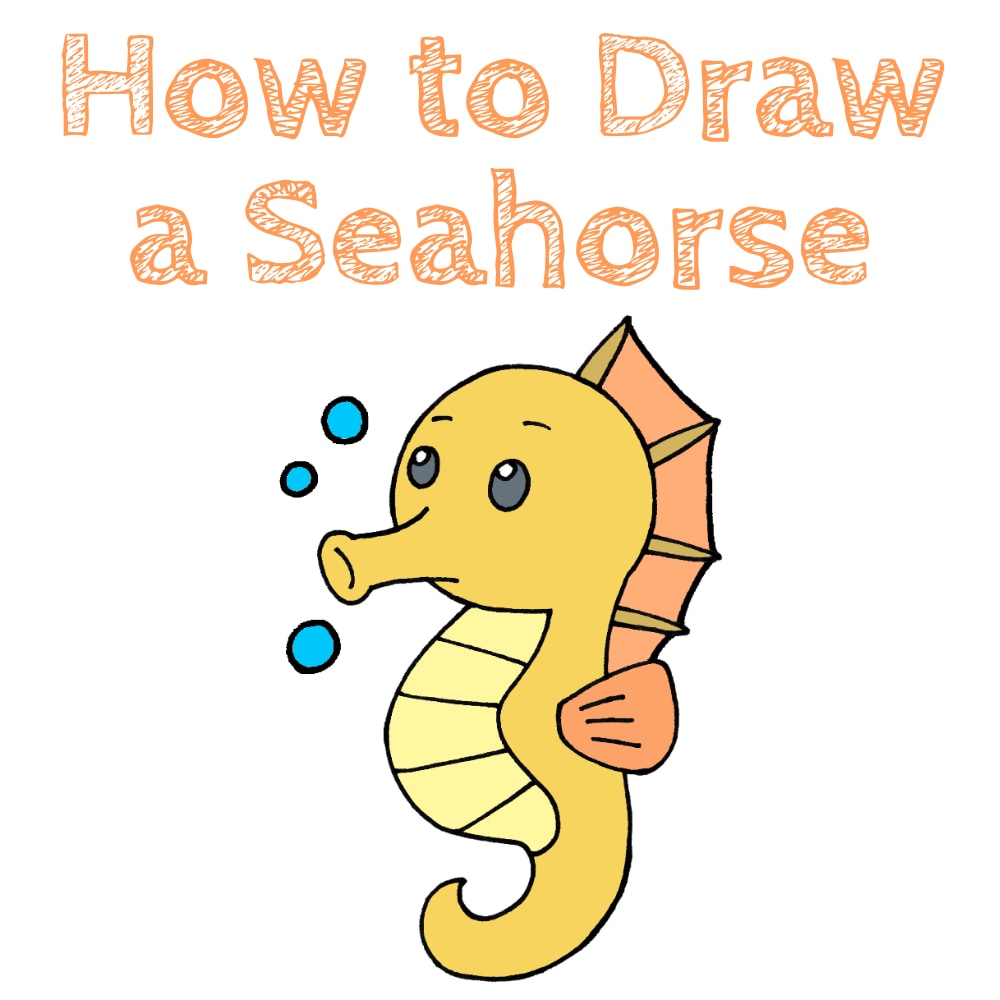 Seahorse Drawing Tutorial