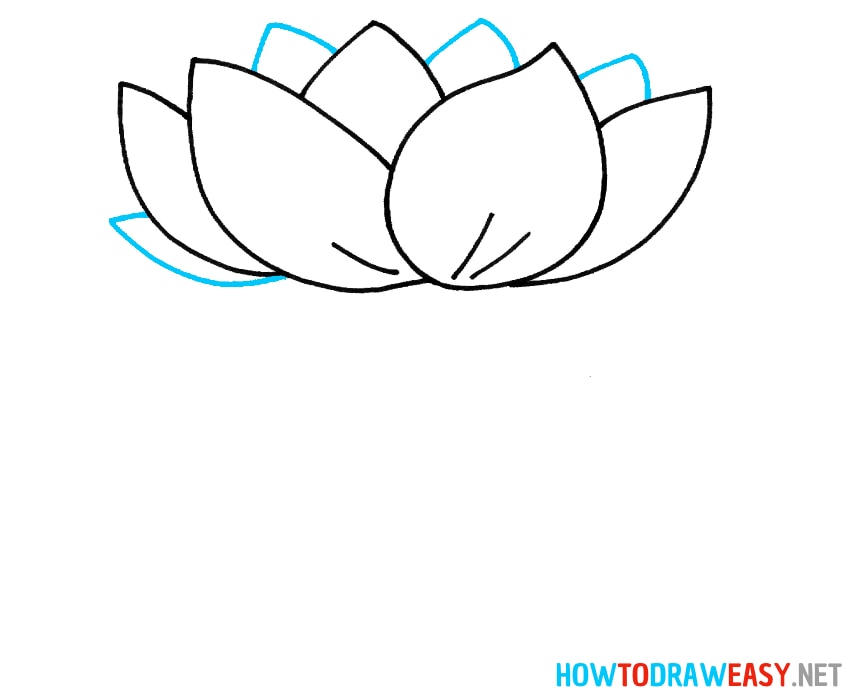 Step by Step Lotus Drawing