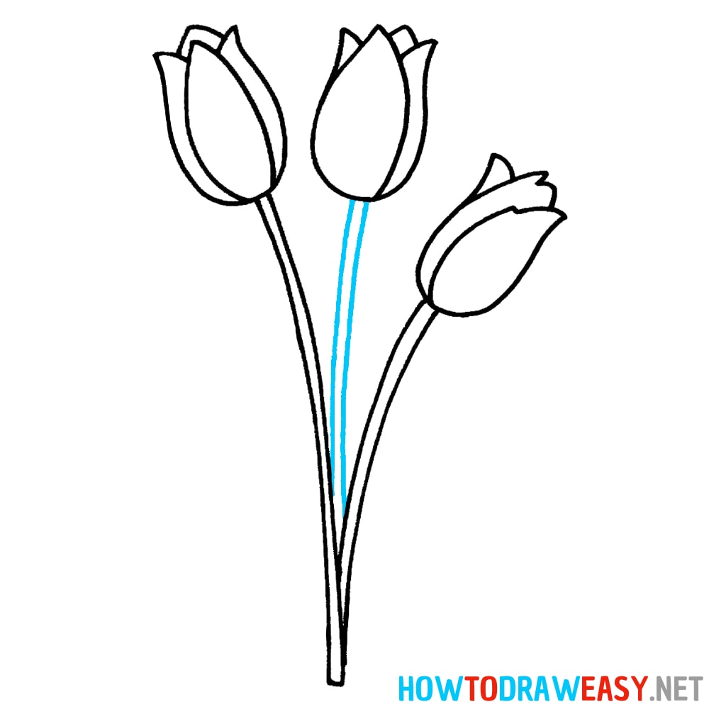 Tulip Drawing Step by Step