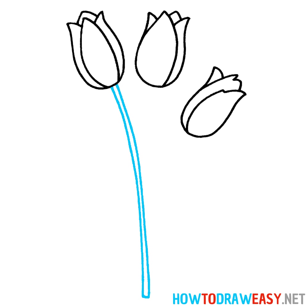 Tulip Easy Drawing