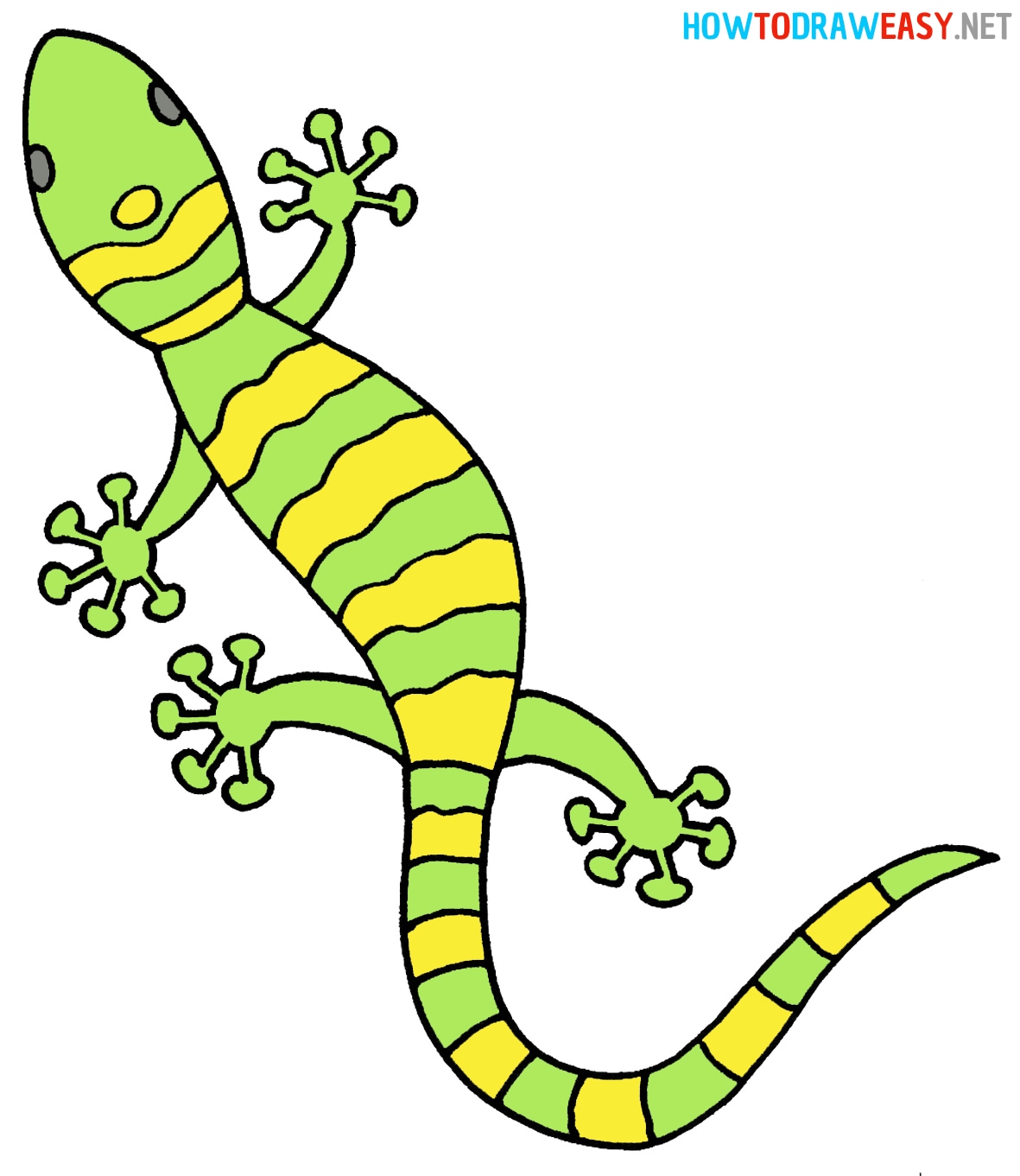 How to Draw a Lizard Draw for Kids