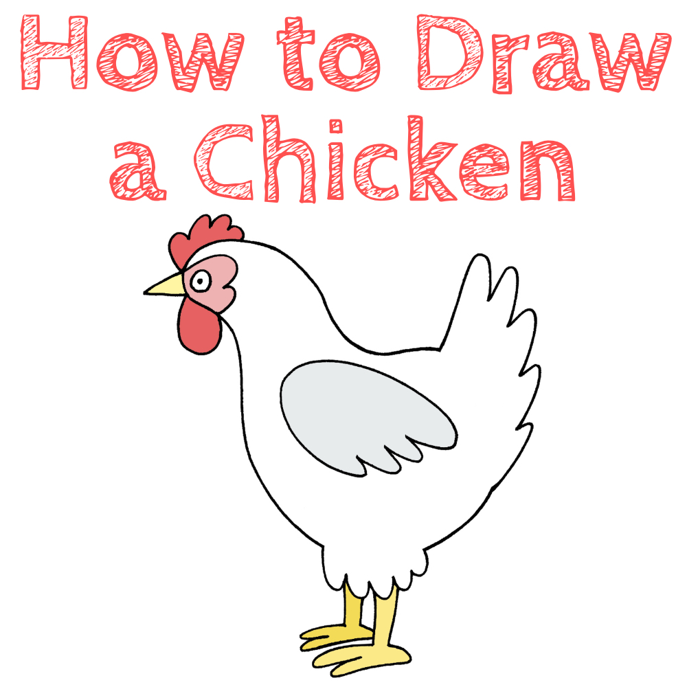 Chicken Drawing Easy