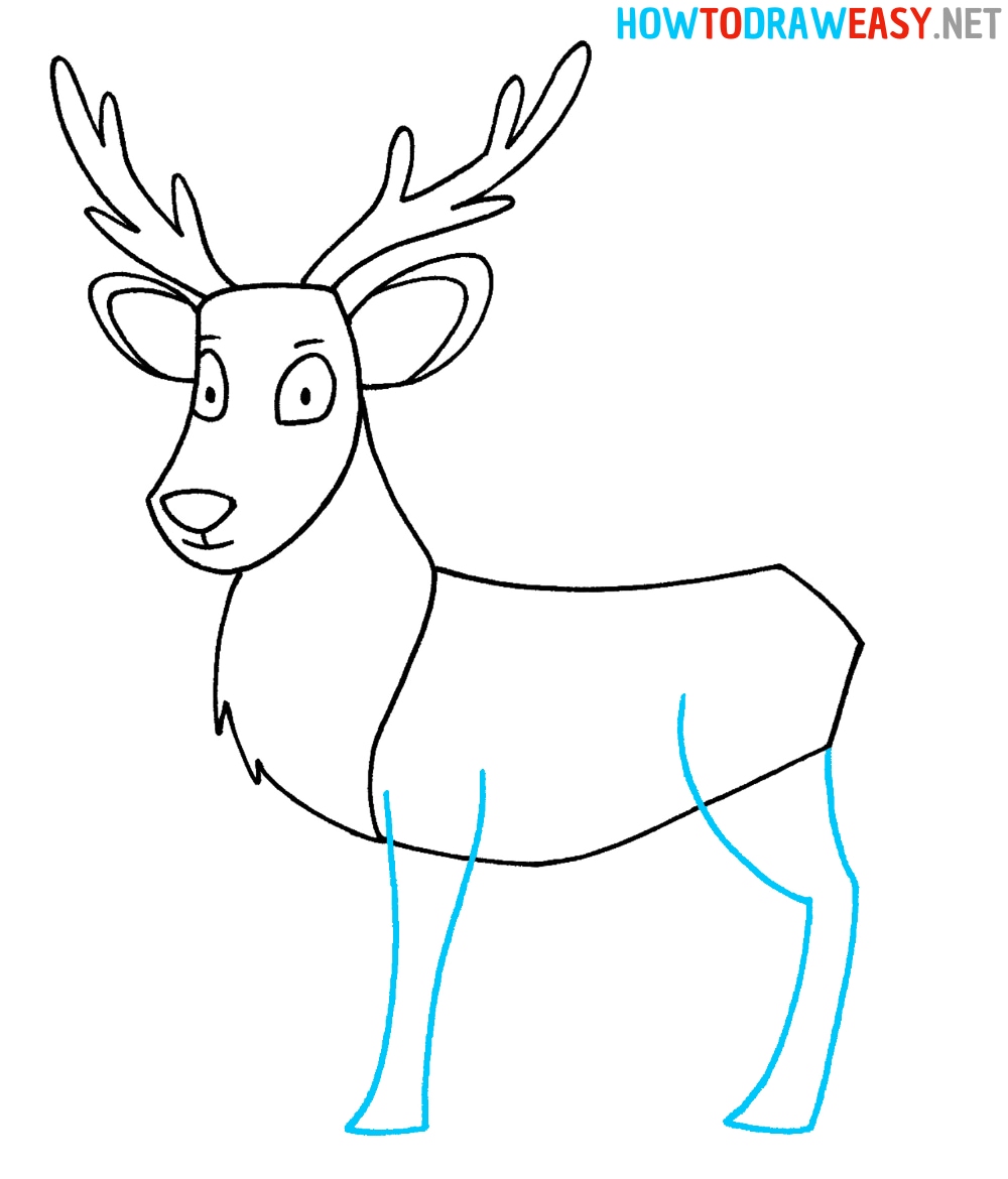 Step by Step Deer Drawing