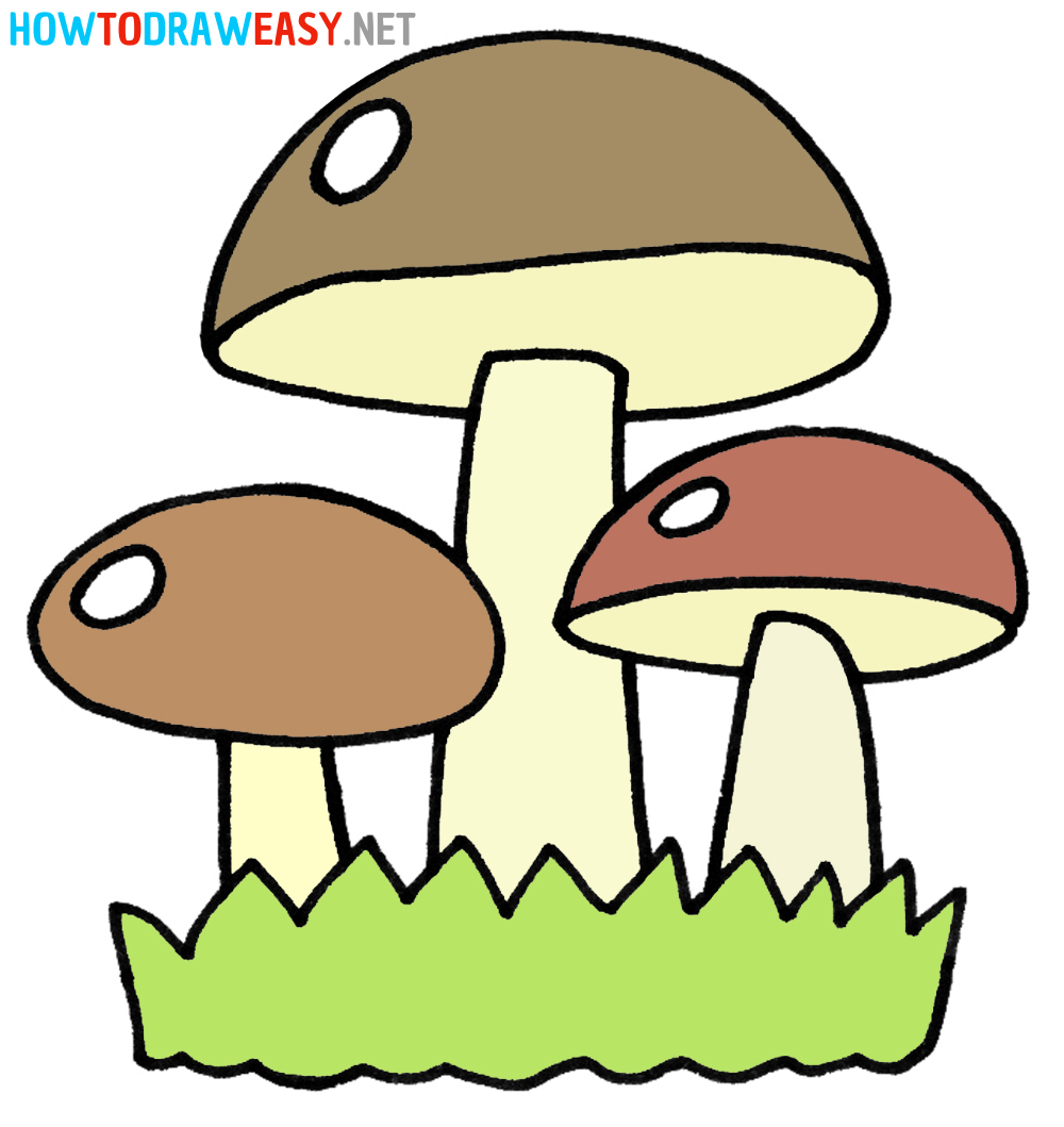 How to Draw Mushroom
