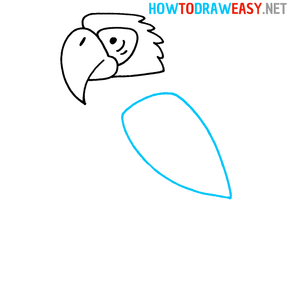 How to Draw a Cartoon Parrot
