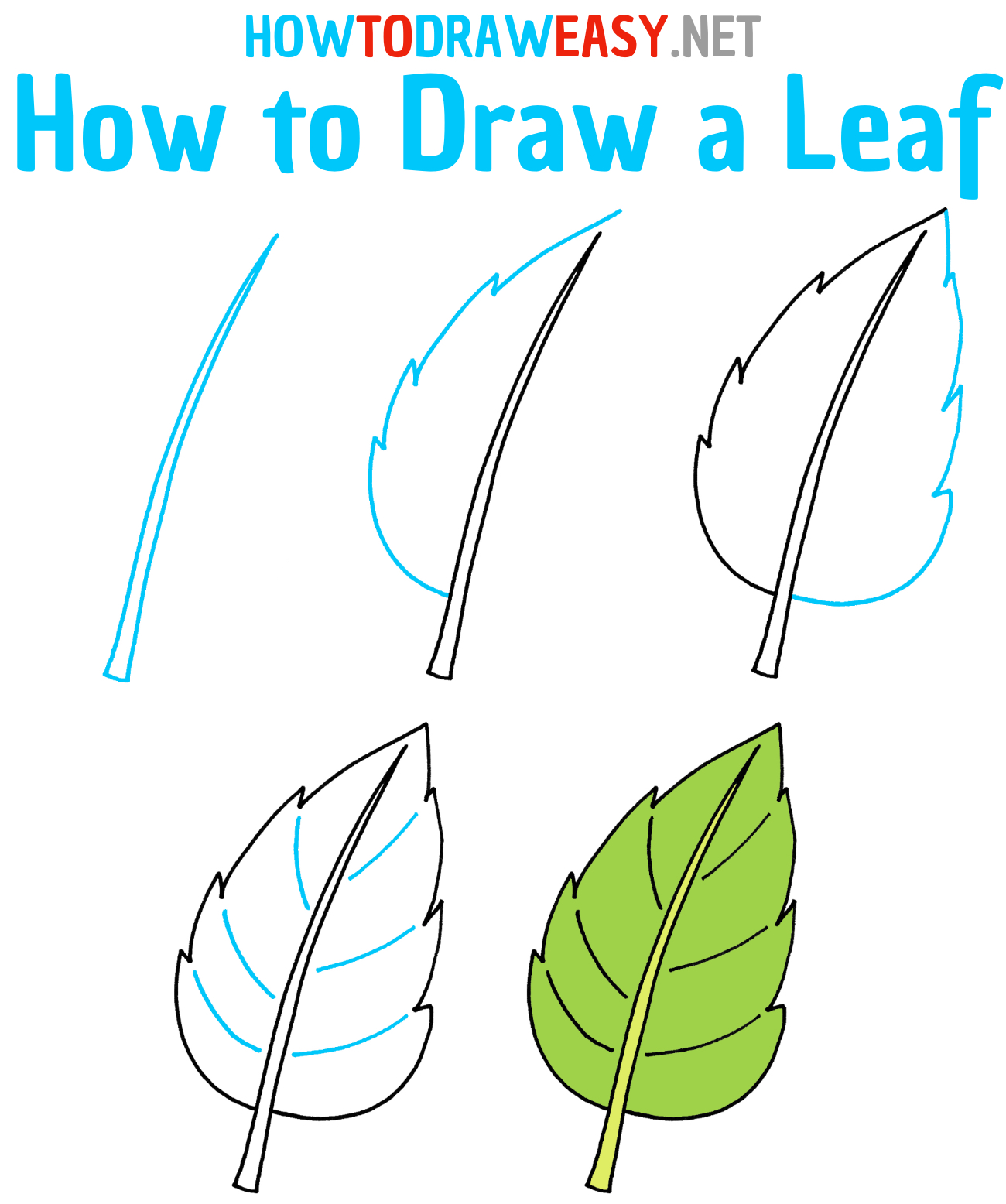 How to Draw a Leaf Step by Step