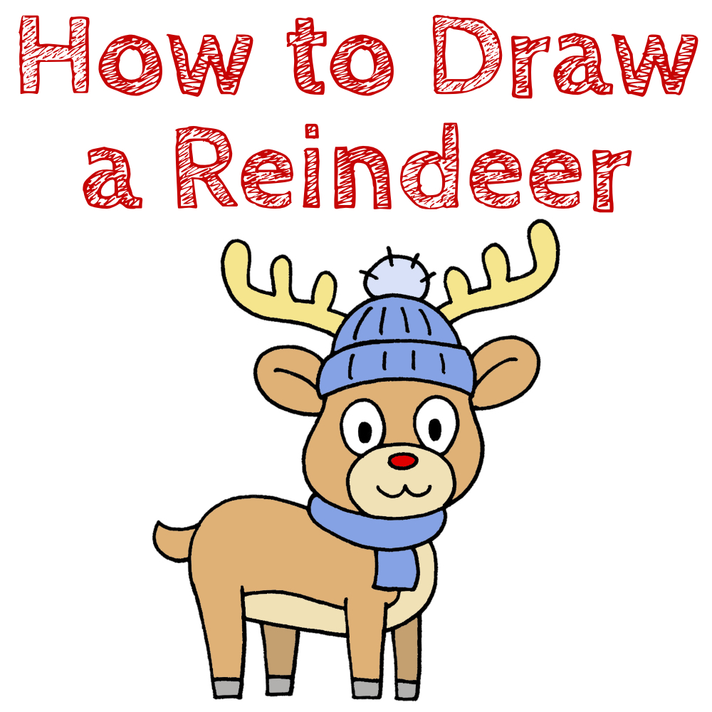 How to Draw a Reindeer for Beginners