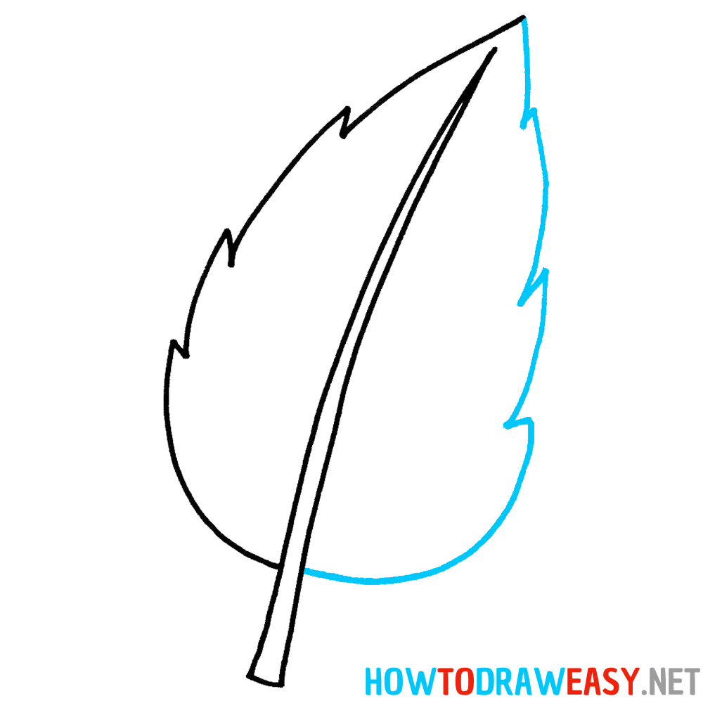 How to Draw an Easy Leaf