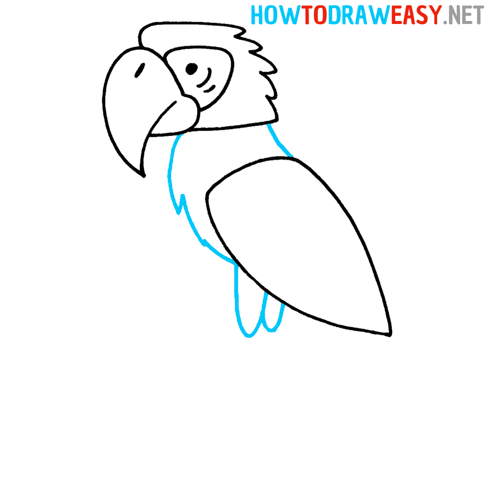 How to Draw an Easy Parrot