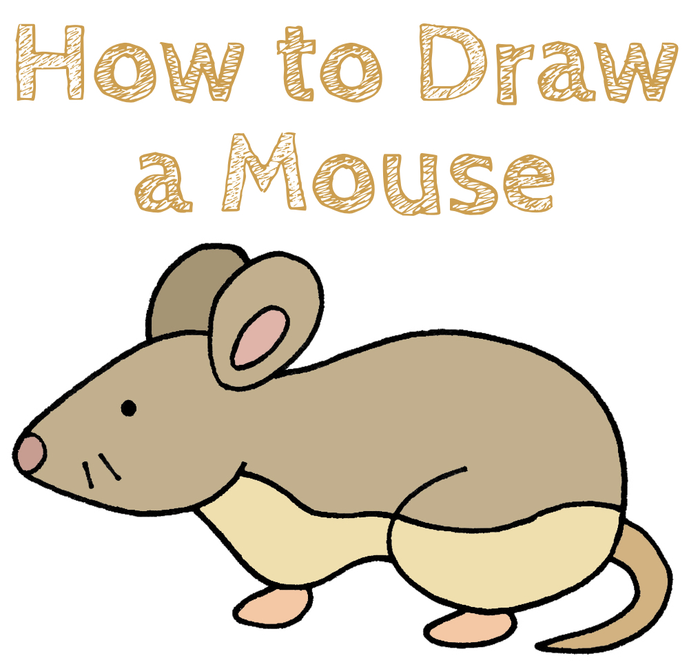 Mouse How to Draw