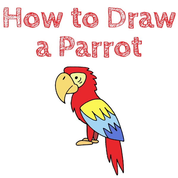 Parrot Drawing Step By Step/Easy Scenery With Parrot Eating Fruits Drawing/ Drawing For Beginners/ - YouTube