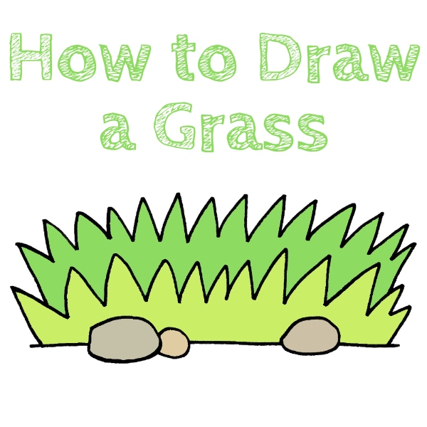 How to Draw a Grass